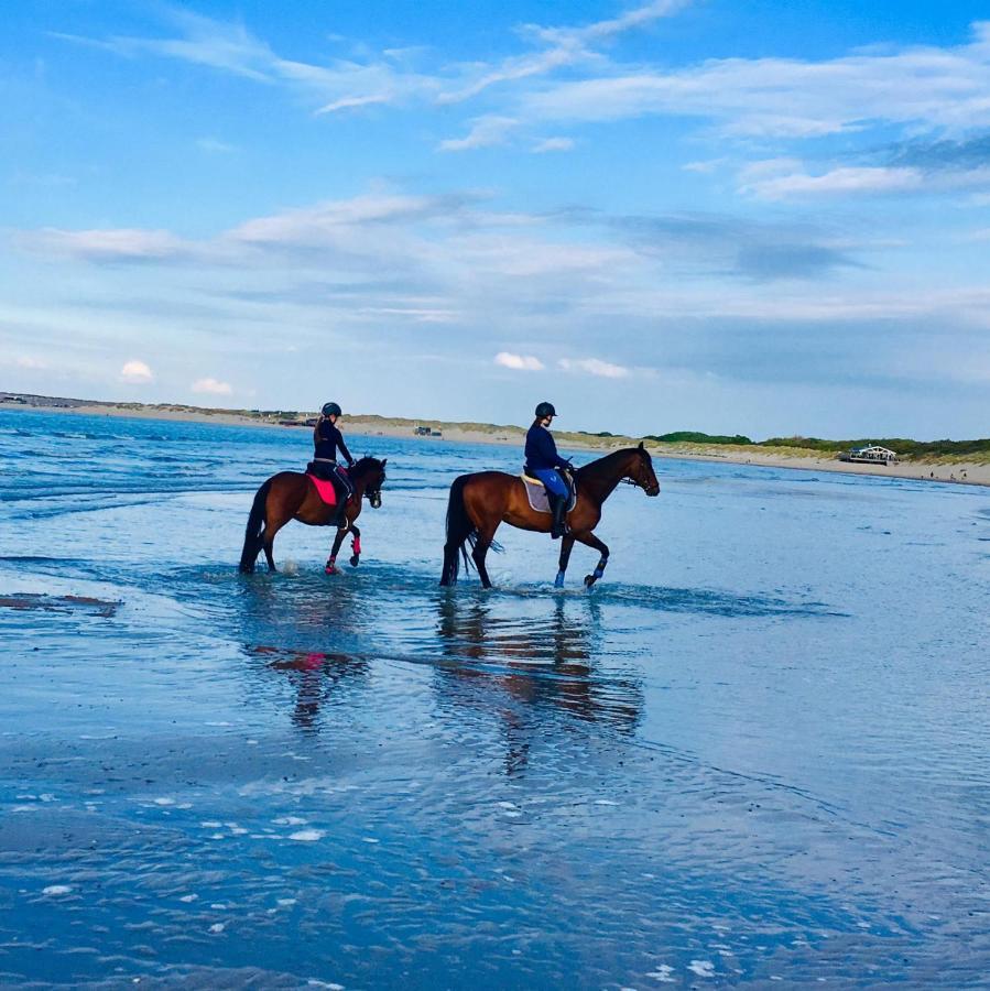 De Schelphoeve Ellemeet Eksteriør billede